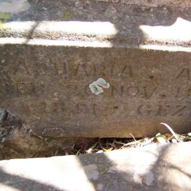 BEER Zacharia  Andreas, de 1850-