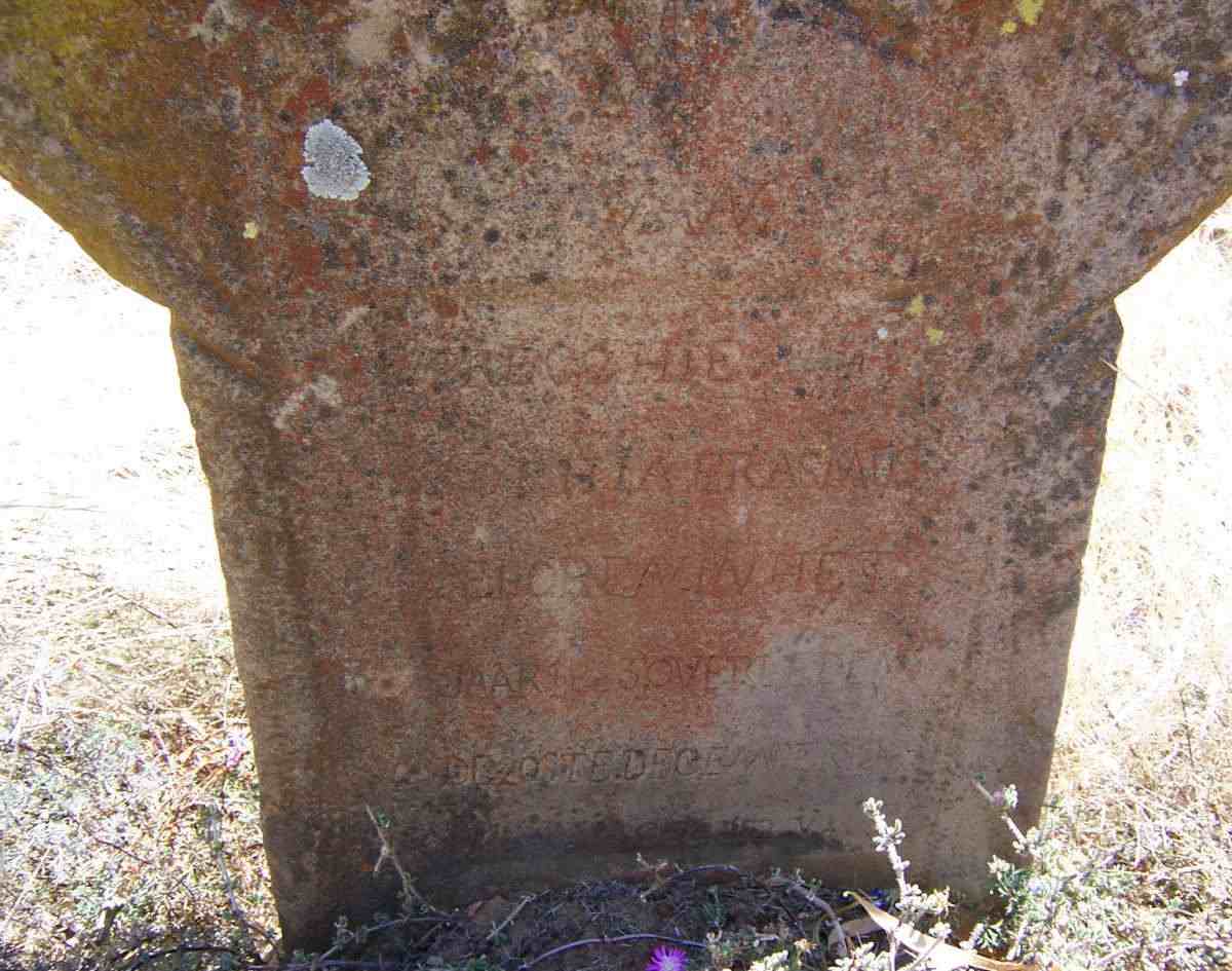 ERASMUS Sophia 1883-