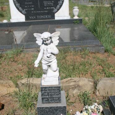 KLEINHANS Johan 19?4-1984