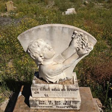 KLEINHANS Jacobus Albertus 1915-1932