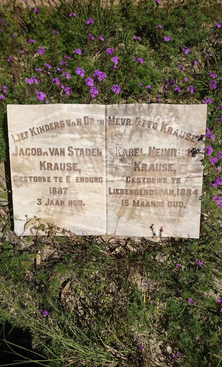 KRAUSE Karel Heinrich -1884 :: KRAUSE Jacoba Van Staden -1887