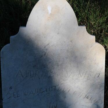 VENTER Andrijs 1937-1938