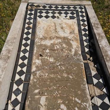 VERSTER Andries Olivier 1883-1920