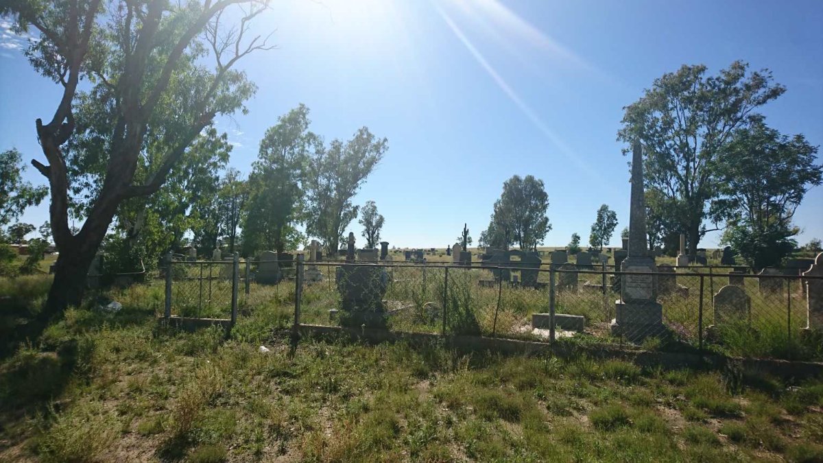 2. Overview / Oorsig