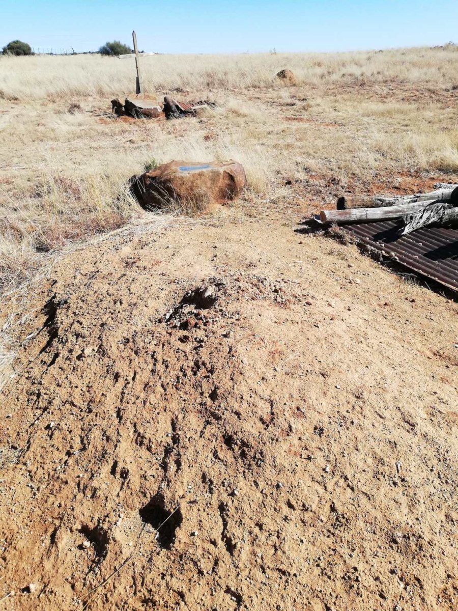 3. Overview / Oorsig