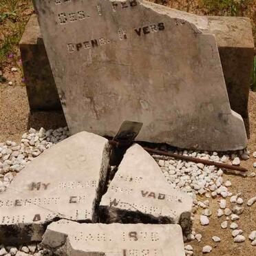 WESSELS  M.J. H. 1870-1921