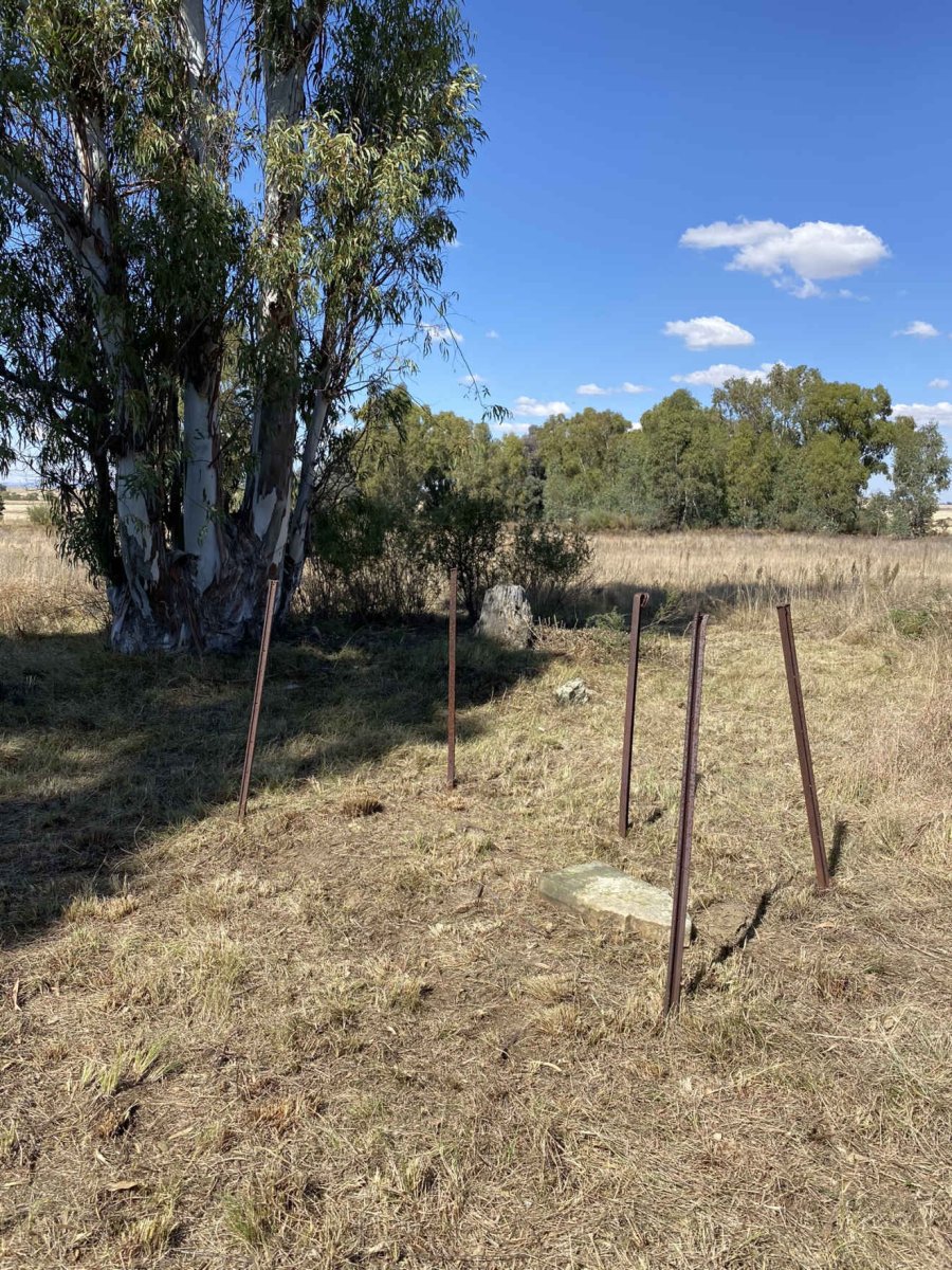 3. Oorsig / Overview