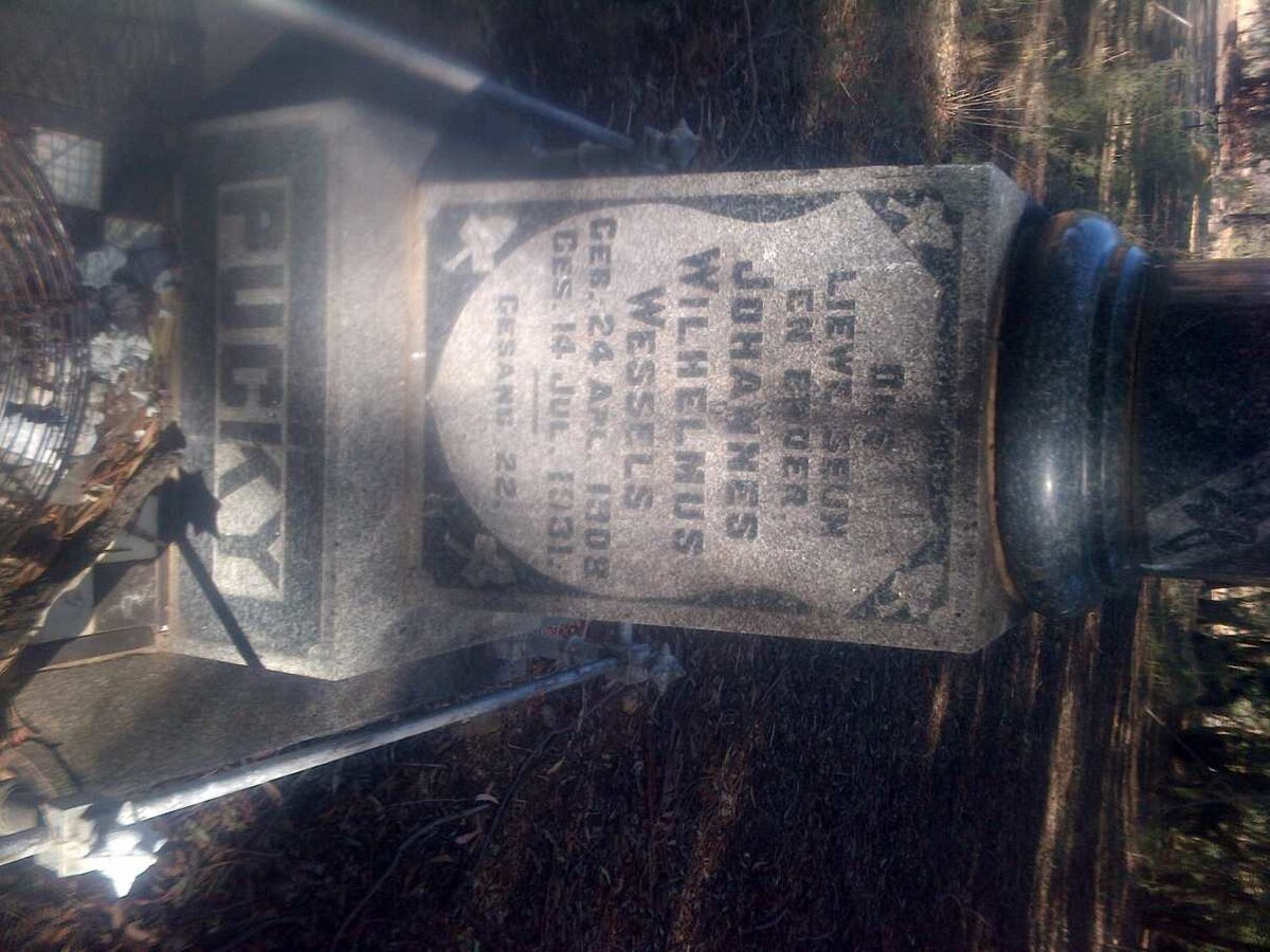 WESSELS Johannes Wilhelmus 1908-1931