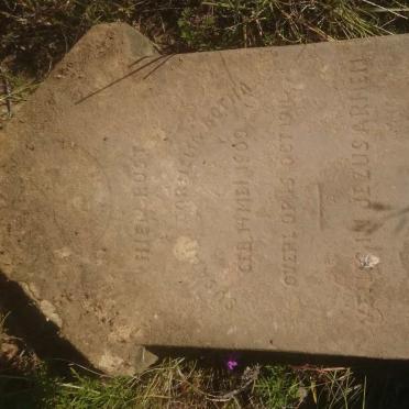 BOTHA Susanna Cornelia 1909-1911