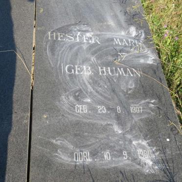 BEZUIDENHOUDT Barend Christiaan Buurman 1905- &amp; Hester Maria HUMAN 1907-1980