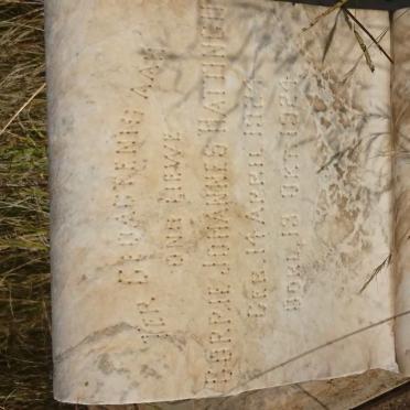 HATTINGH Corrie Johannes 1924-1924