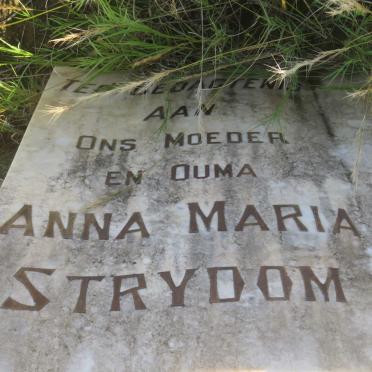 STRYDOM Anna Maria 1881-1973