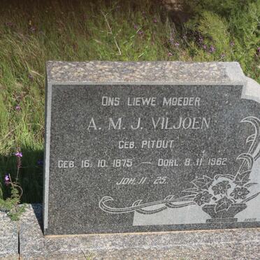 VILJOEN C.G. 1870-1964 &amp; A.M.J. PITOUT 1875-1962
