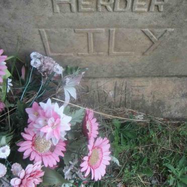 MERWE Joachim Hendrik, van der 1907-1991 &amp; Cornelia Kemper PRETORIUS 1920-