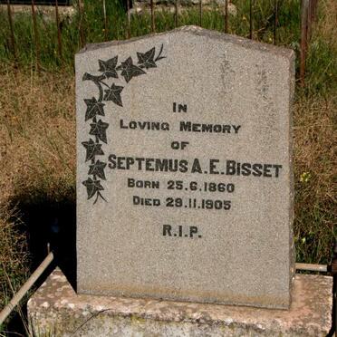 BISSET Septemus A.E. 1860-1905