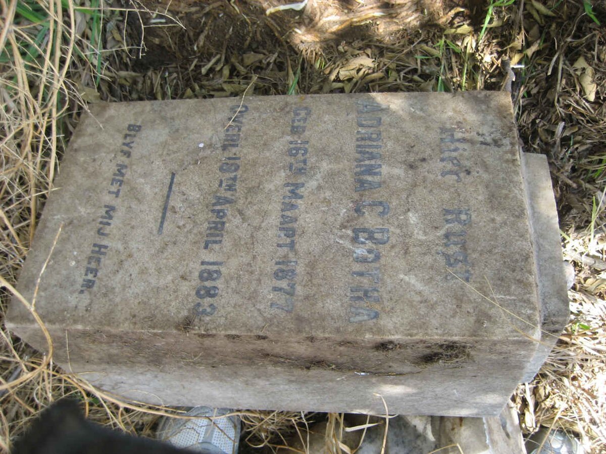 BOTHA Adriana C. 1877-1883