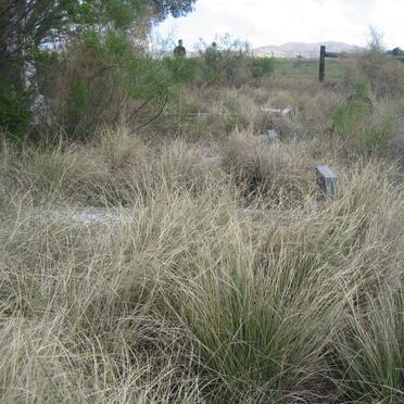 Free State, FOURIESBURG district, Opstal 383, farm cemetery