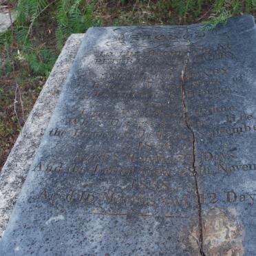 EVERY Peter Donald -1856 :: EVERY Friederich Henry -1858