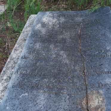 EVERY Peter Donald -1856 :: EVERY Friederich Henry -1858