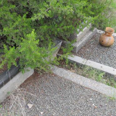 PLESSIS du :: STRYDOM