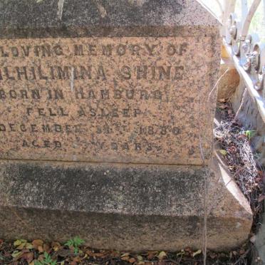 SHINE Wilhilimina -1880