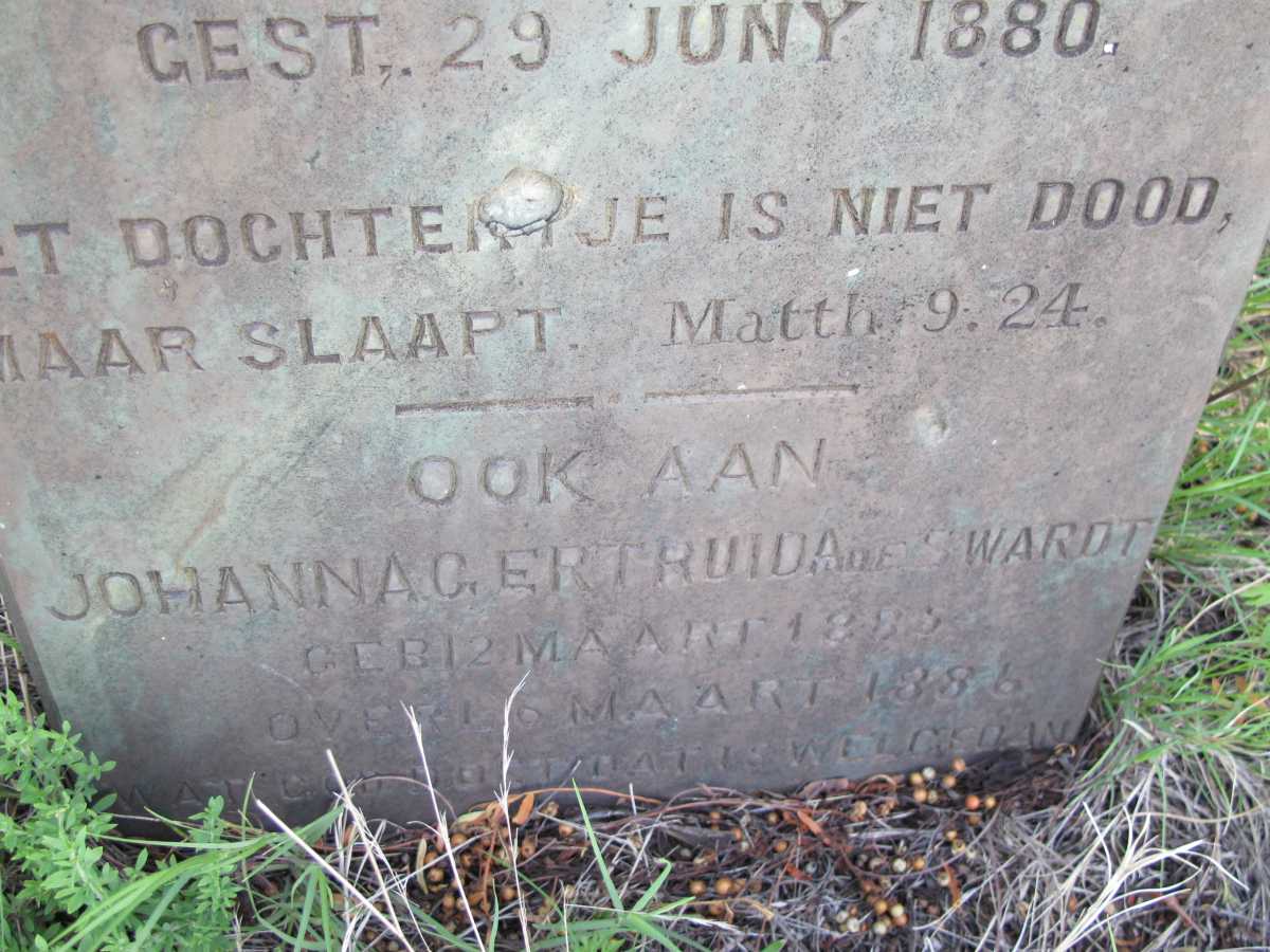 SWARDT Johanna Gertruida, de 1879-1880 :: DE SWARDT Johanna Gertruida 1885-1886