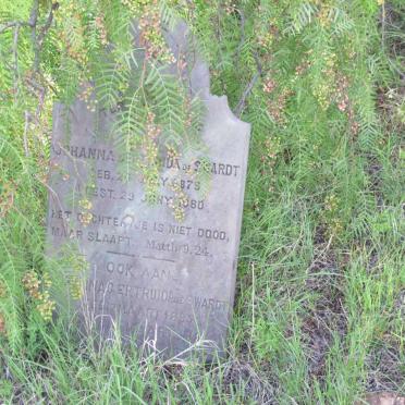 SWARDT Johanna Gertruida, de 1879-1880 :: DE SWARDT Johanna Gertruida 1885-1886