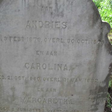 TOIT Andries, du 1879-1879 :: DU TOIT Carolina 1880-1882