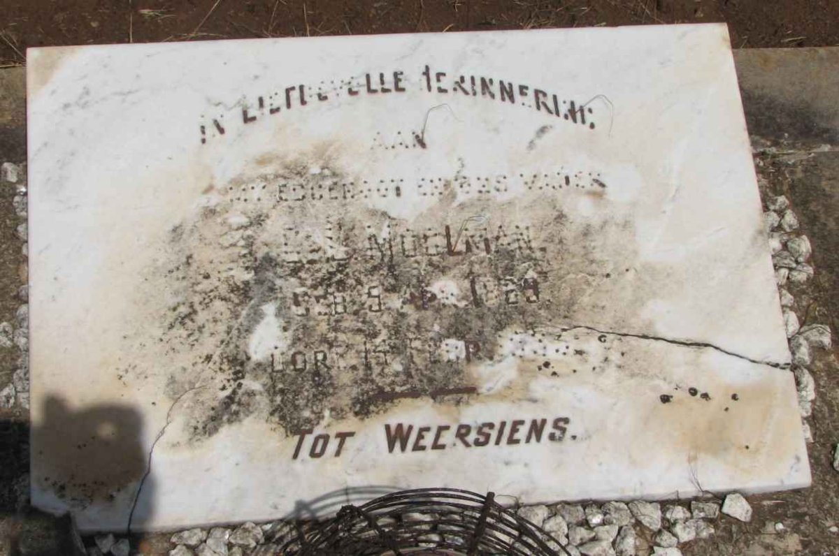 MOOLMAN C.L. 1859-1935