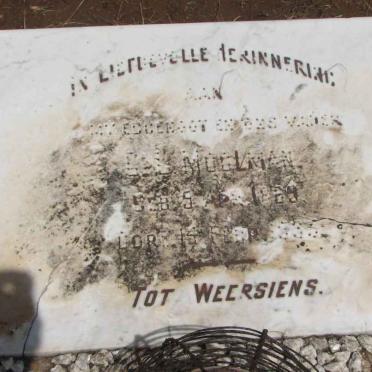 MOOLMAN C.L. 1859-1935