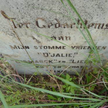 ? D'jalie :: Bismarck :: Liefste :: Pixie