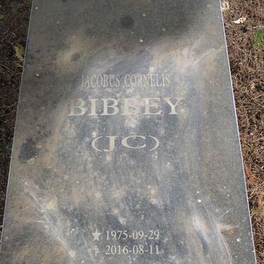 BIBBEY Jacobus Cornelis 1975-2016