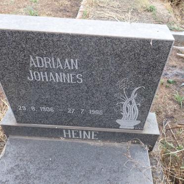 HEINE Adriaan Johannes 1906-1986