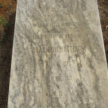 HATTINGH Braampie 1975-1981