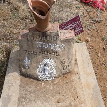 LAUBSCHER 2005-2005_1