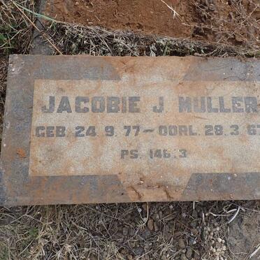 MULLER Jacobie J. 1877-1967