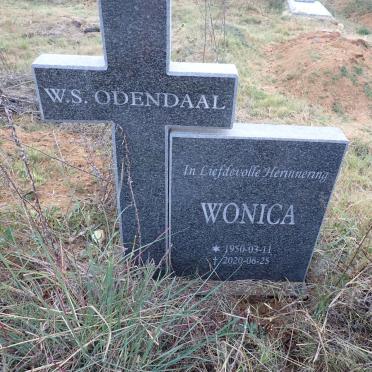 O - Surnames :: Vanne - O