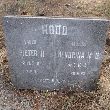 ROOD Pieter H. 1911-1972 Hendrina M.S. 1912-1993