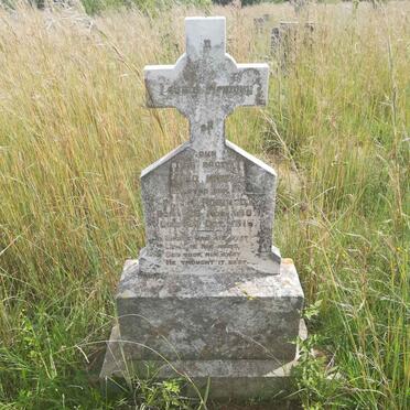 ROBINSON Johnnie 1907-1918 _1