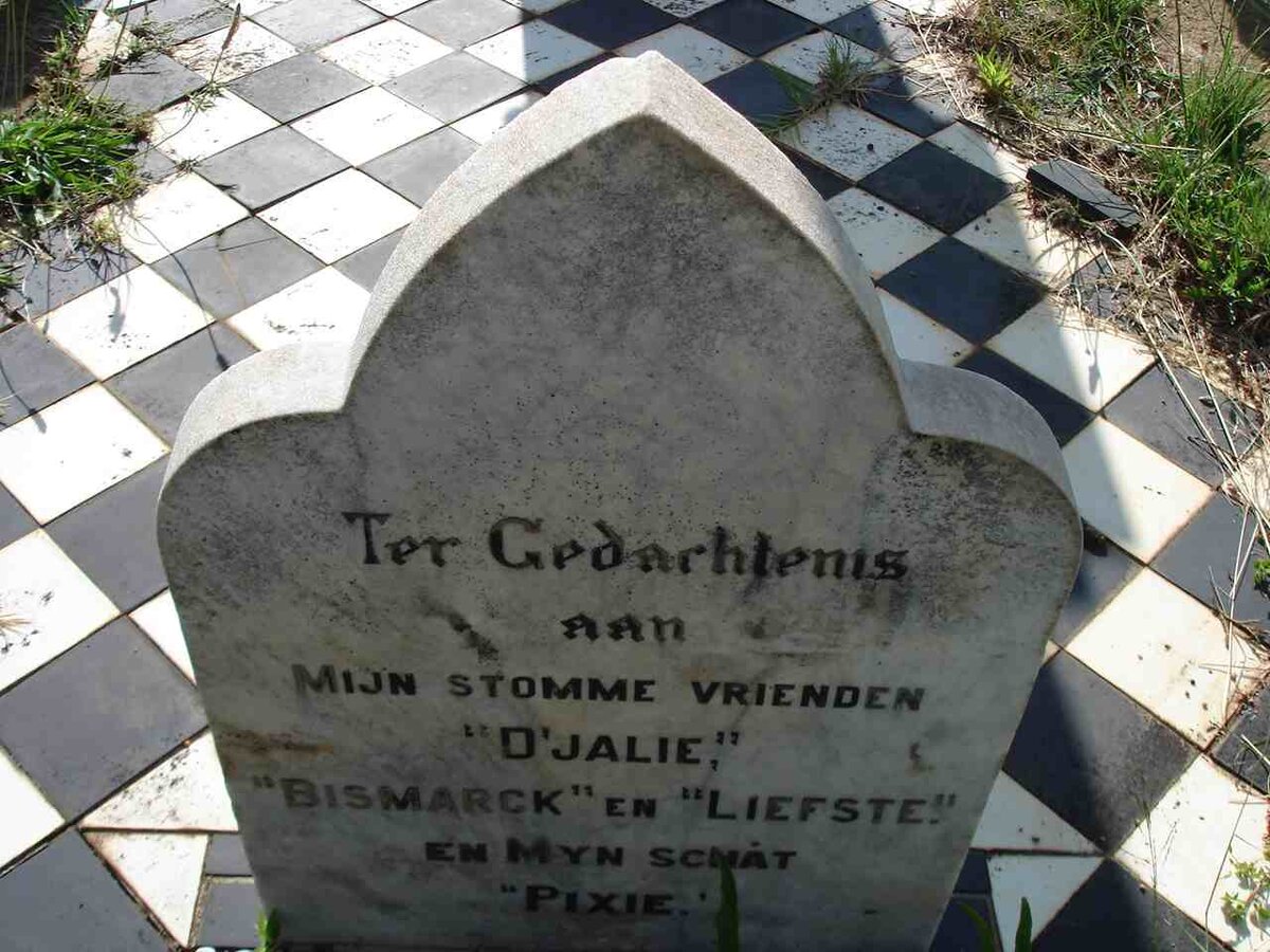 D'Jalie :: Bismarck :: Liefste :: Pixie