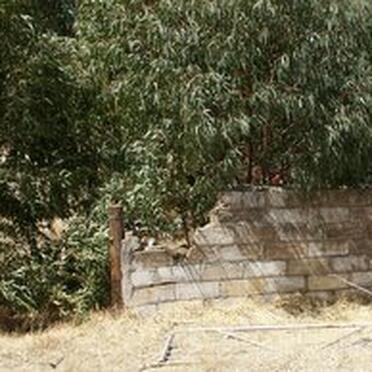 Free State, HARRISMITH district, Geluk 510, farm cemetery