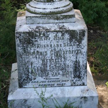 Free State, HARRISMITH district, Swinburne, Somers Vlakte 1178, farm cemetery