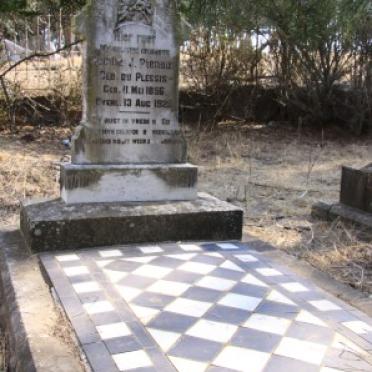 PIENAAR Cecilia J. nee DU PLESSIS 1856-1928