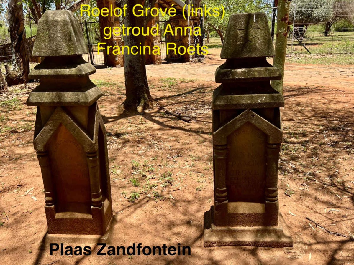 3. Overview / Oorsig GROVE & ROETS grafte