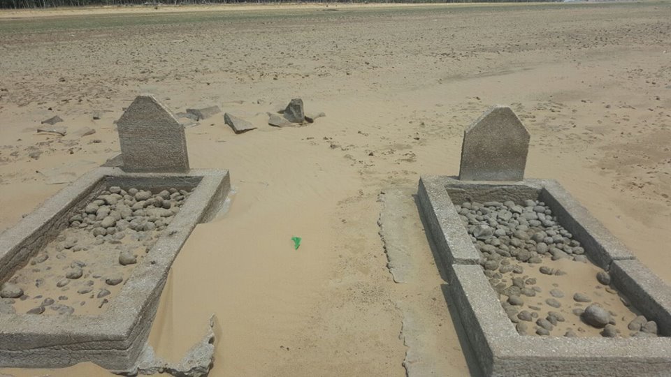 03. Overview / Oorsig in 2016