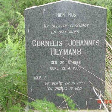 Free State, HEILBRON district, Rietfontein 346, farm cemetery