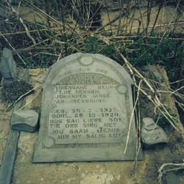 RENSBURG Hendrik Johannes, Janse van 1920-1929