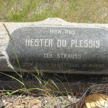 PLESSIS Michiel Horn, du 1895-1972 &amp; Hester STRAUSS 1900-1947