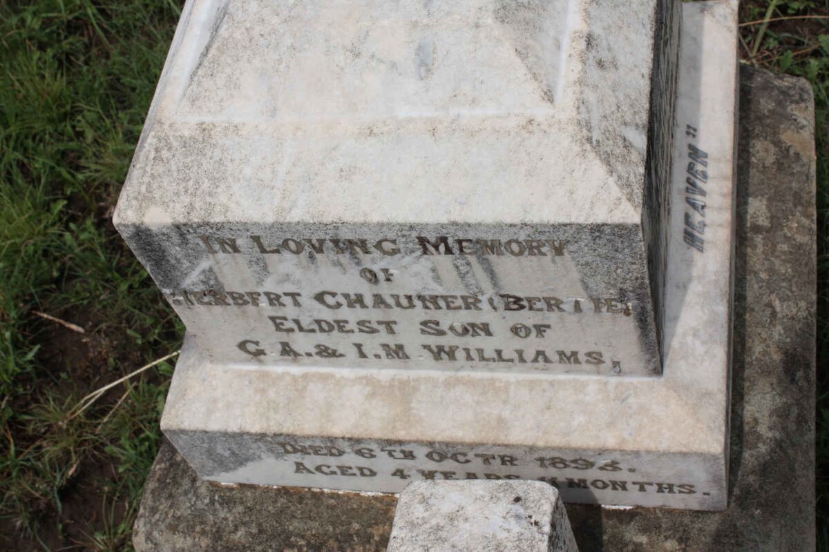 WILLIAMS Herbert Chauner -1893