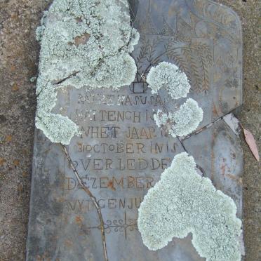 HATTENGH Katrena Susana 1900-1901